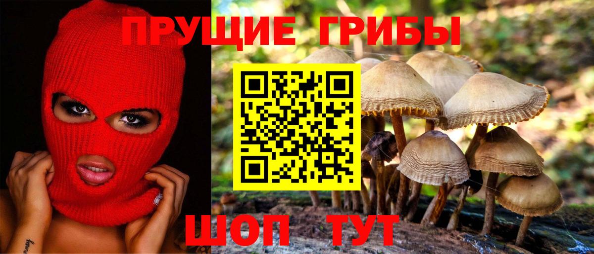 Галлюциногенные грибы Psilocybe  Вход с VPN  Кимовск 
